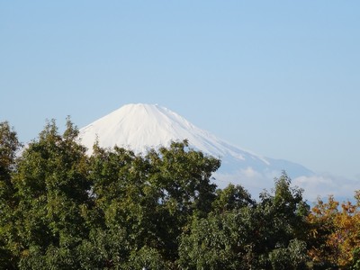 NjbNO